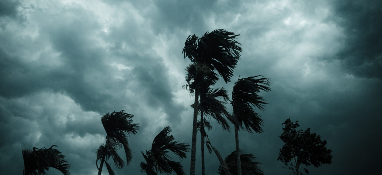 Fuel pricing self-help during a state of emergency