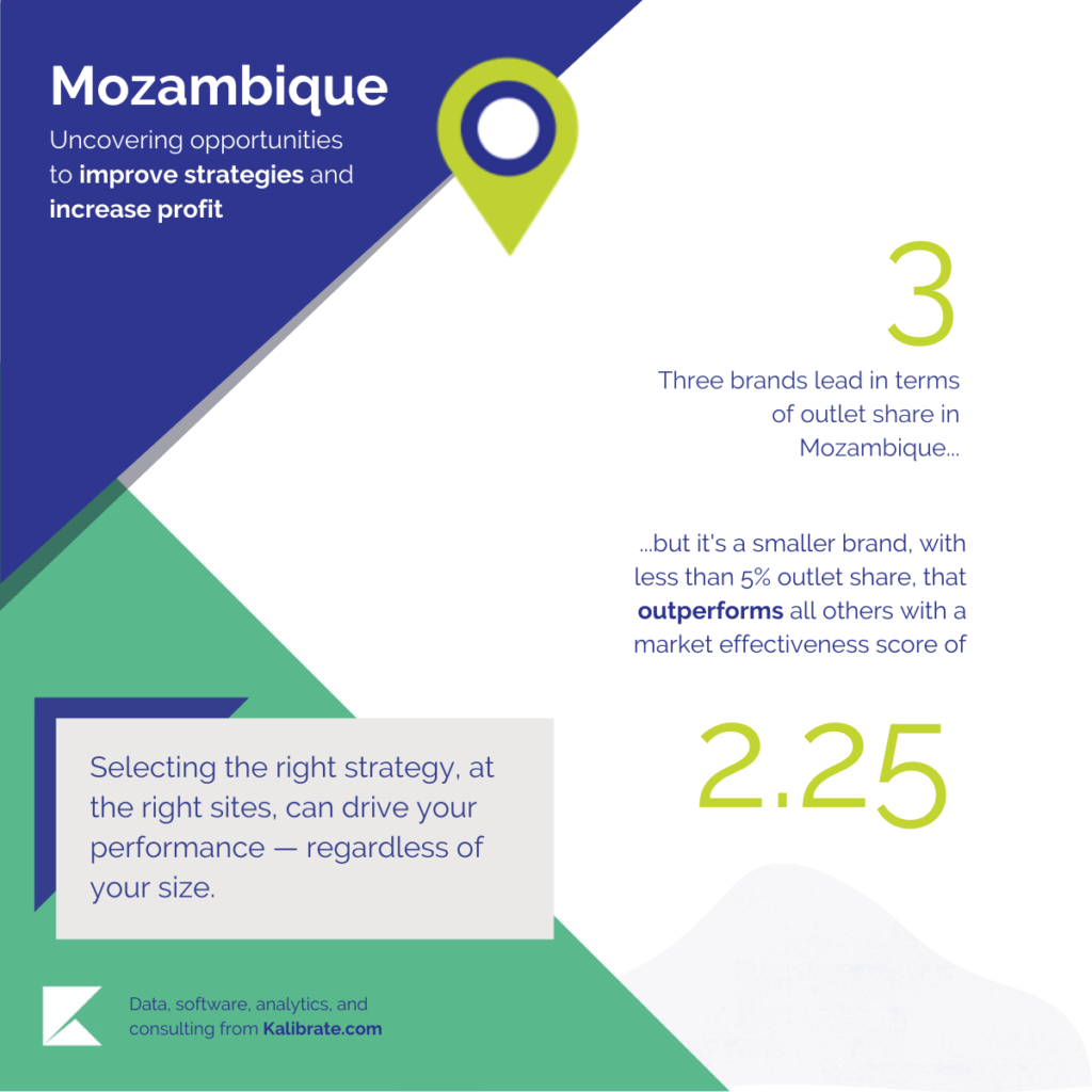 Mozambique - improve fuel retail trategies and increase profit