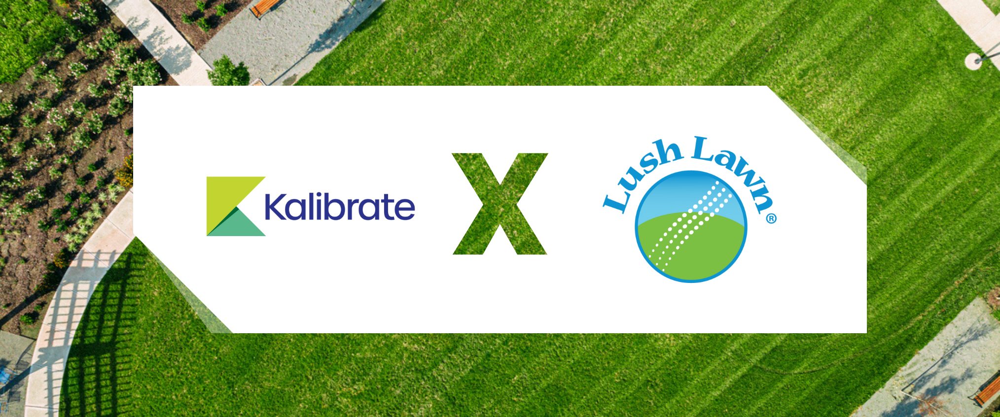 Lush lash header larger