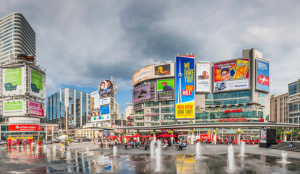 Kalibrate Canada. Half year data now available for 2026