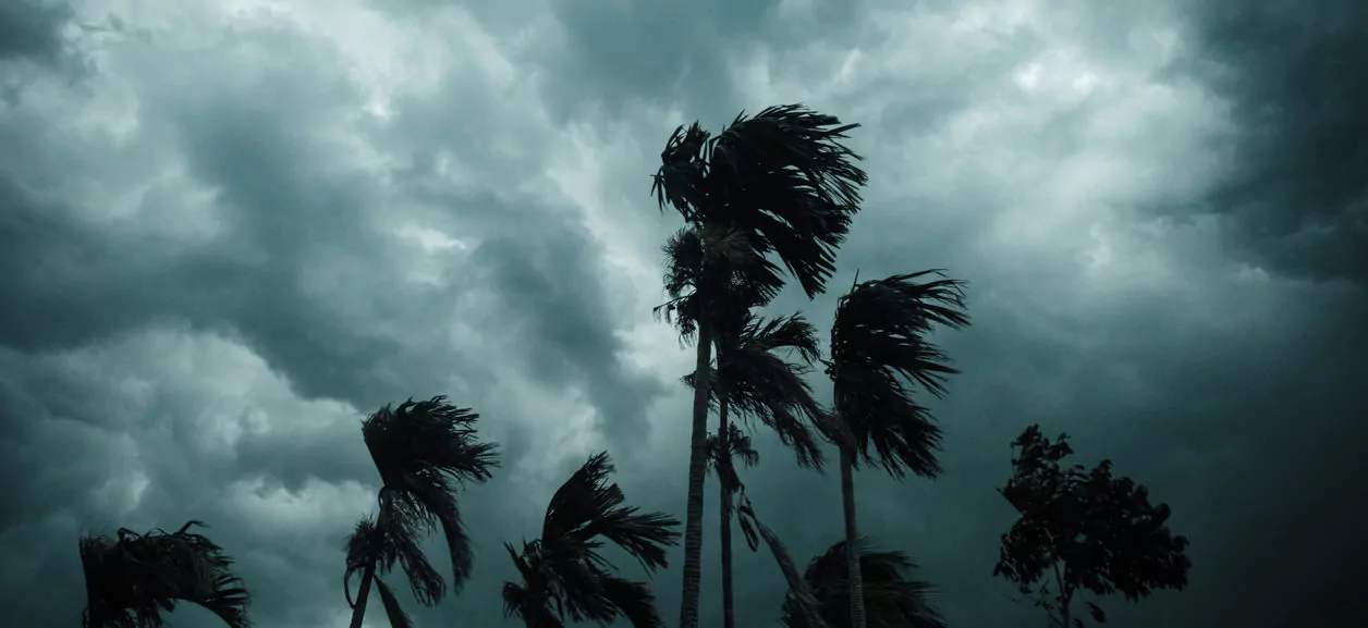 Fuel pricing self-help during a state of emergency