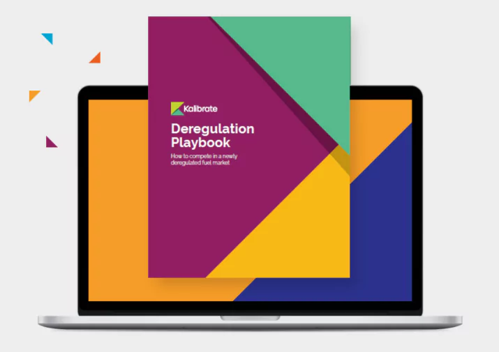Download the Deregulation Playbook