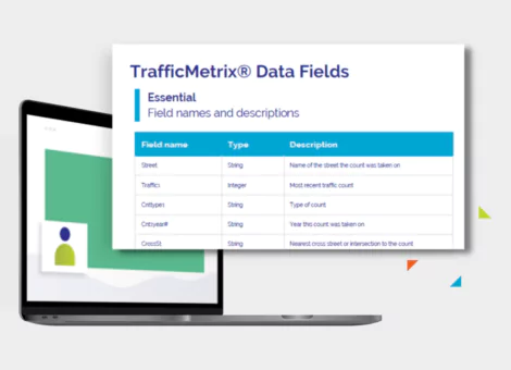 TrafficMetrix® data fields and methodology