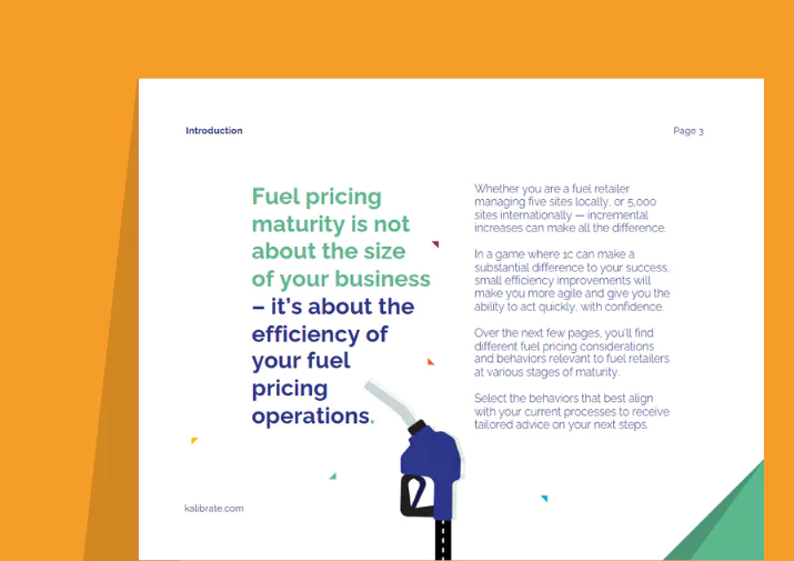 Fuel pricing maturity curve ebook